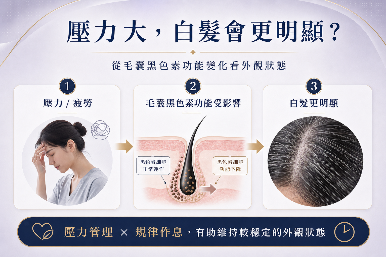 壓力疲勞可能影響毛囊黑色素細胞功能而讓白髮更明顯